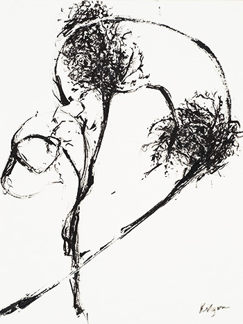 ink drawing of plant stems