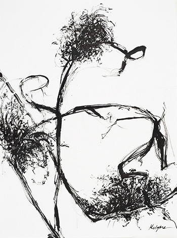 ink drawing of plant stems