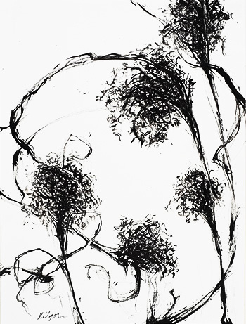 ink drawing of plant stems